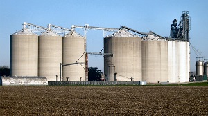 Grain Warehouse